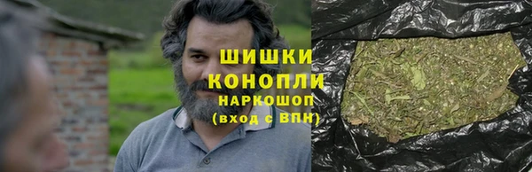 крисы Бородино