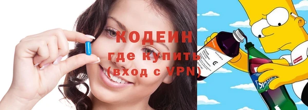 крисы Бородино