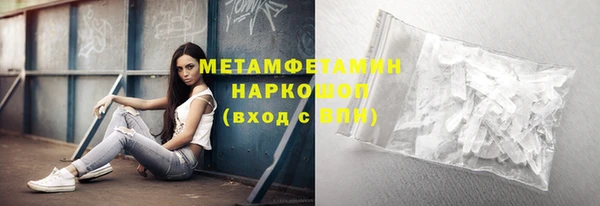 крисы Бородино