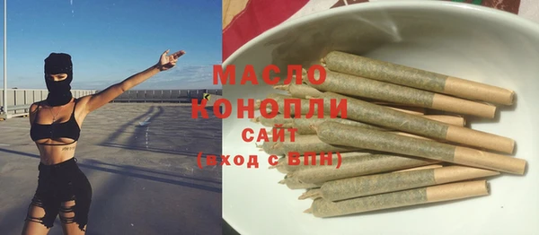 крисы Бородино