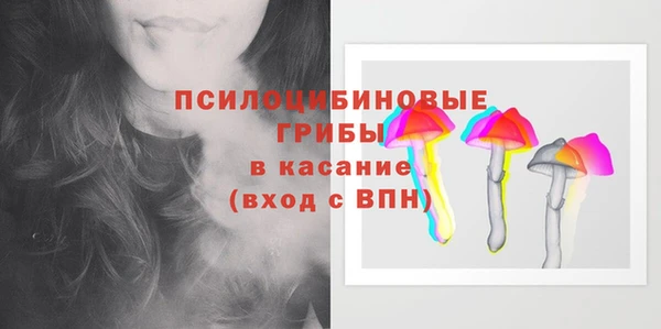 крисы Бородино