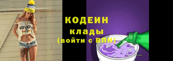 крисы Бородино