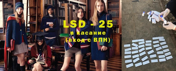 крисы Бородино