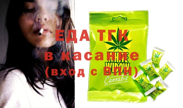 крисы Бородино