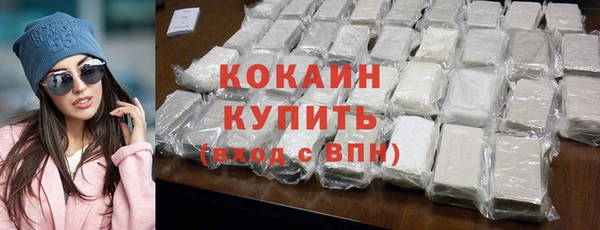 крисы Бородино