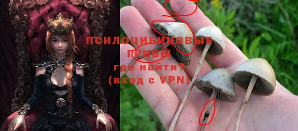 мет Бугульма