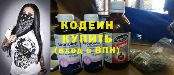 крисы Бородино